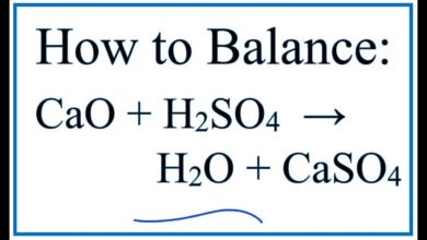 CaO + H2SO4 = H2O + CaSO4 | Phương trình Hóa Học