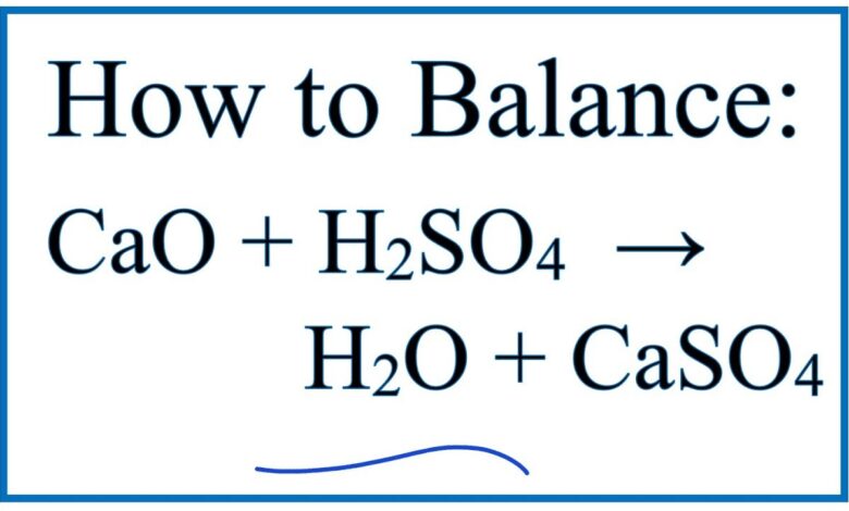 CaO + H2SO4 = H2O + CaSO4 | Phương trình Hóa Học