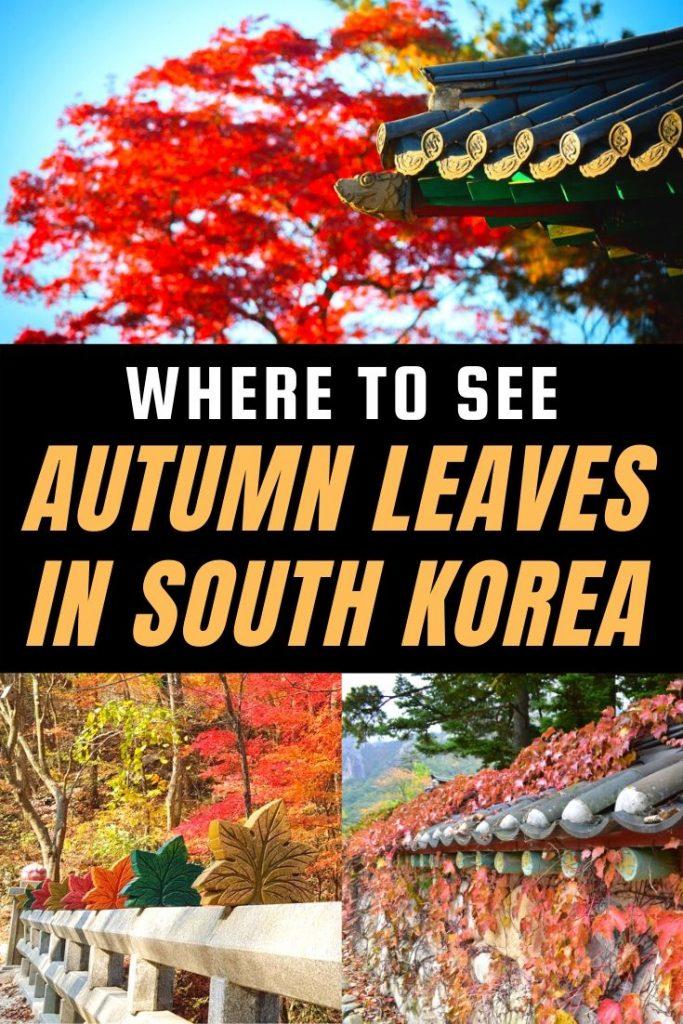Where To See Autumn Leaves In Korea