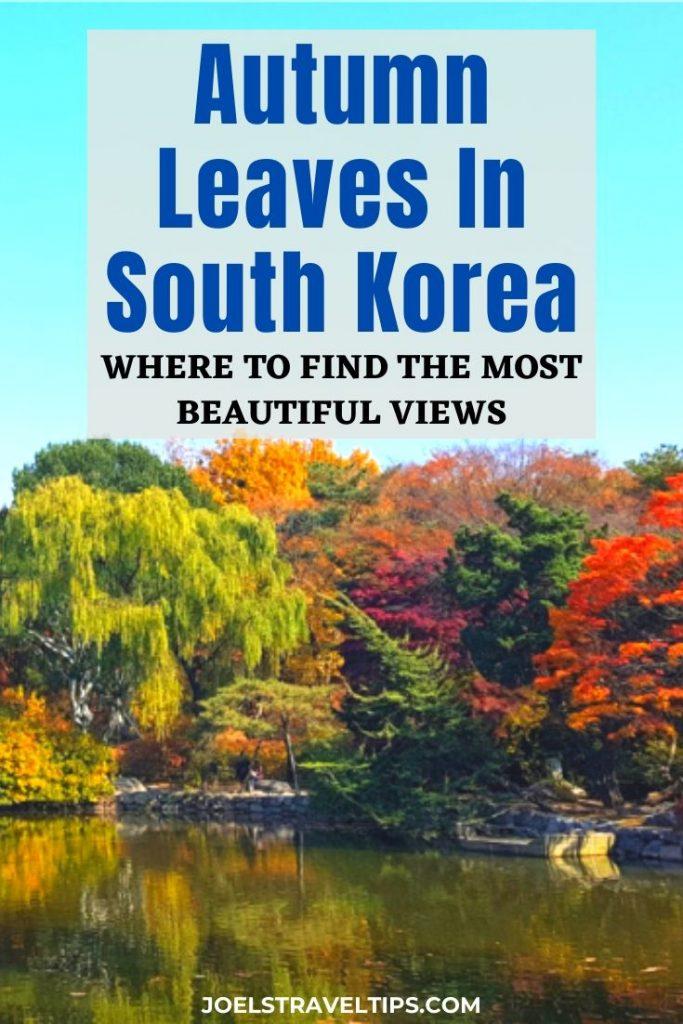 Autumn Leaves In South Korea: Where to find the most beautiful views