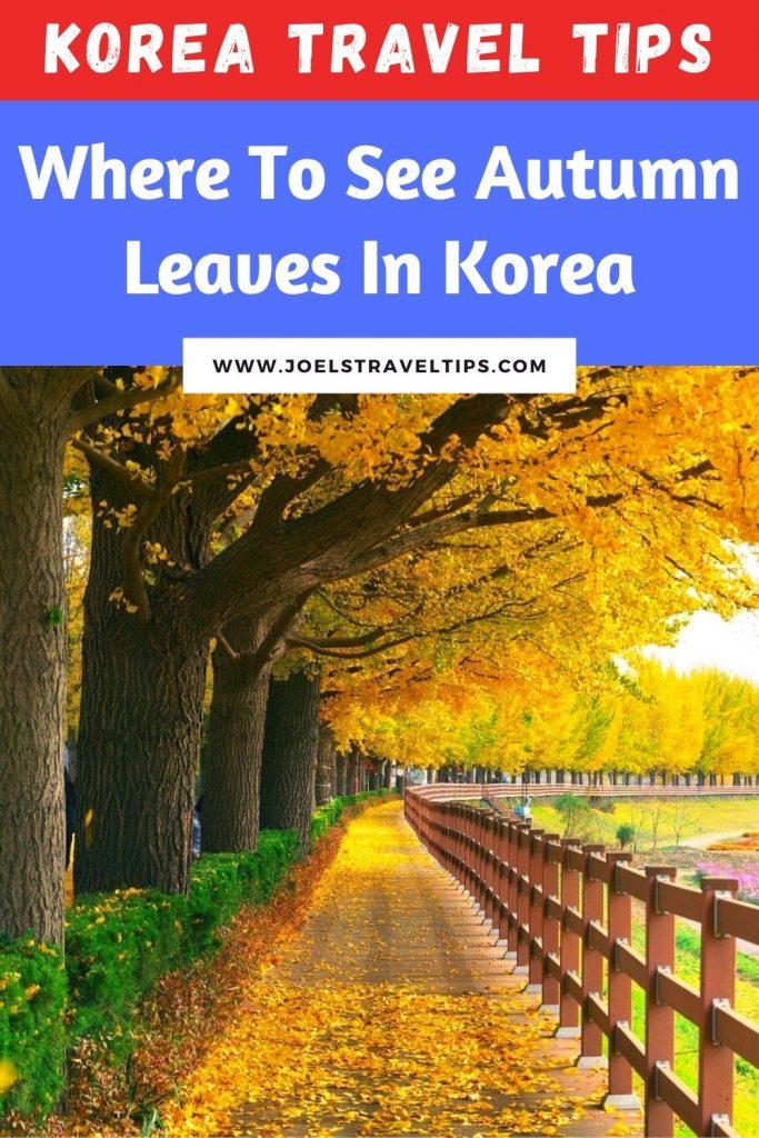Korea Travel Tips: Where to see autumn leaves in Korea