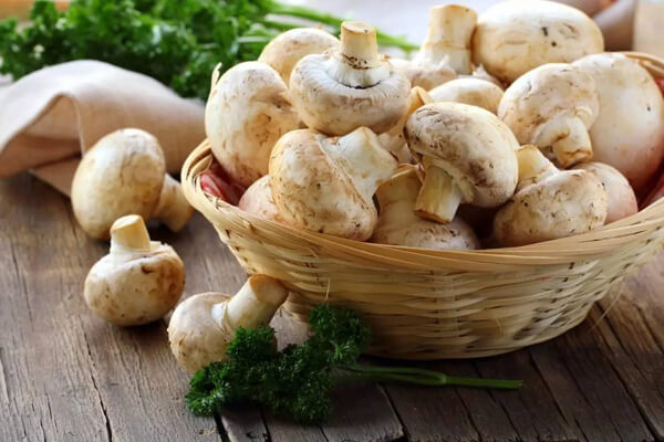 Giới Nấm (tên khoa học: Fungi) – Tên, hình ảnh các loại nấm thông dụng ăn được, nấm độc ở Việt Nam