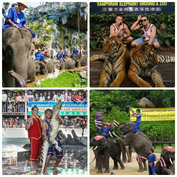 Trải nghiệm mạo hiểm tại Trại Voi và vườn thú Samphran sau khi tham quan chợ nổi Damnoen Saduak