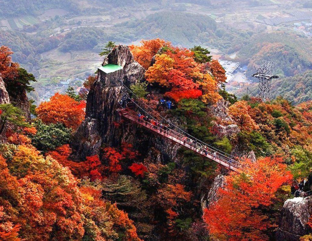 Fall leaves at Daedunsan Provincial Park in Korea