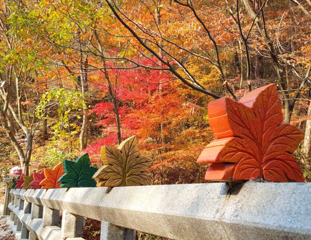 A bridge of autumn leaves in Korea's national parks