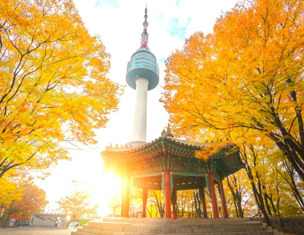 Namsan Mountain and N Seoul Tower with autumn leaves in Korea