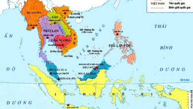 Soạn Lịch sử 11 bài 16: Các nước Đông Nam Á giữa hai cuộc chiến tranh thế giới (1918-1939) 4