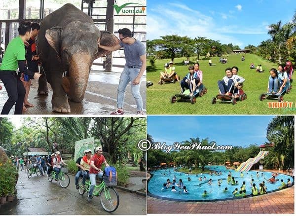 Kinh nghiệm đi chơi ở khu du lịch Vườn Xoài, Đồng Nai: Những trò vui chơi, giải trí hấp dẫn ở khu du lịch Vườn Xoài, Đồng Nai