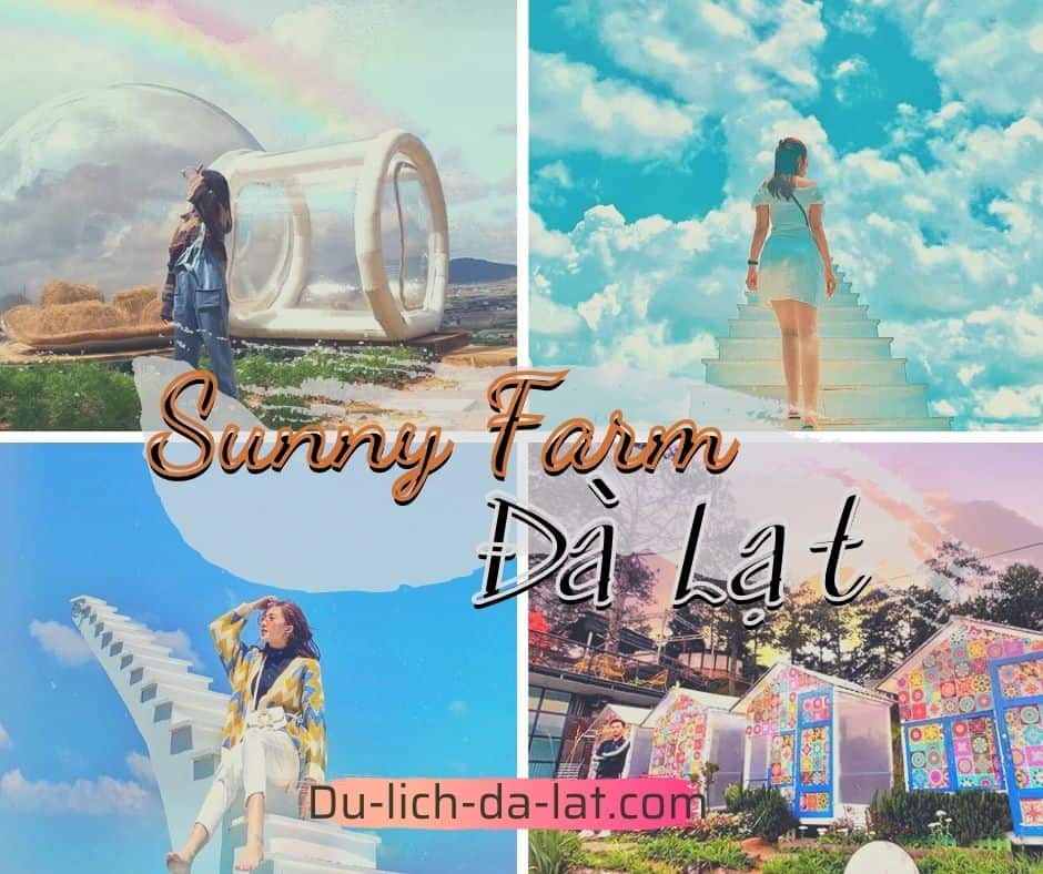 Sunny farm Đà Lạt