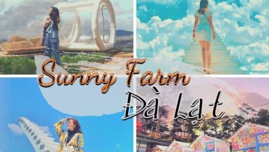 Sunny farm Đà Lạt