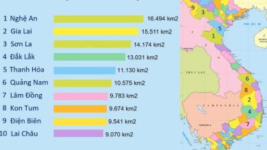 Có thể bạn chưa biết về tỉnh nào có diện tích lớn nhất Việt Nam 2021 1