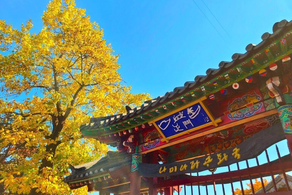 Autumn leaves on Nami Island with the Nami Island gate