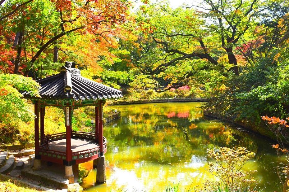 Autumn Leaves in Seoul's Secret Garden with view of the pond and pagoda