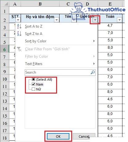 2 cách lọc dữ liệu trong Excel cực đơn giản bạn nên biết 19