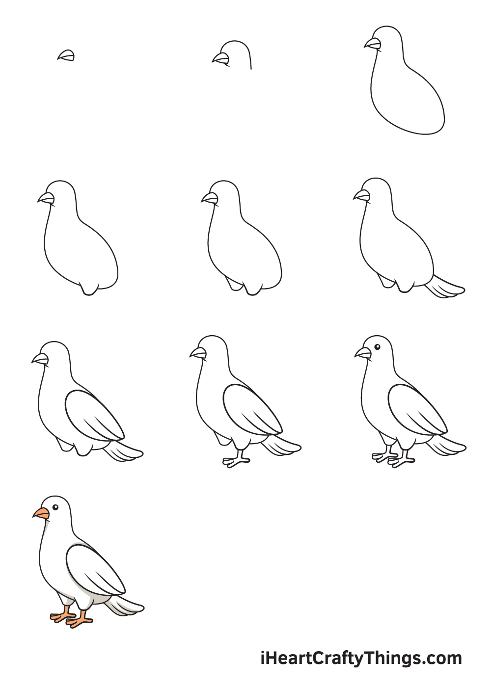 vẽ chim bồ câu trong 9 bước đơn giản