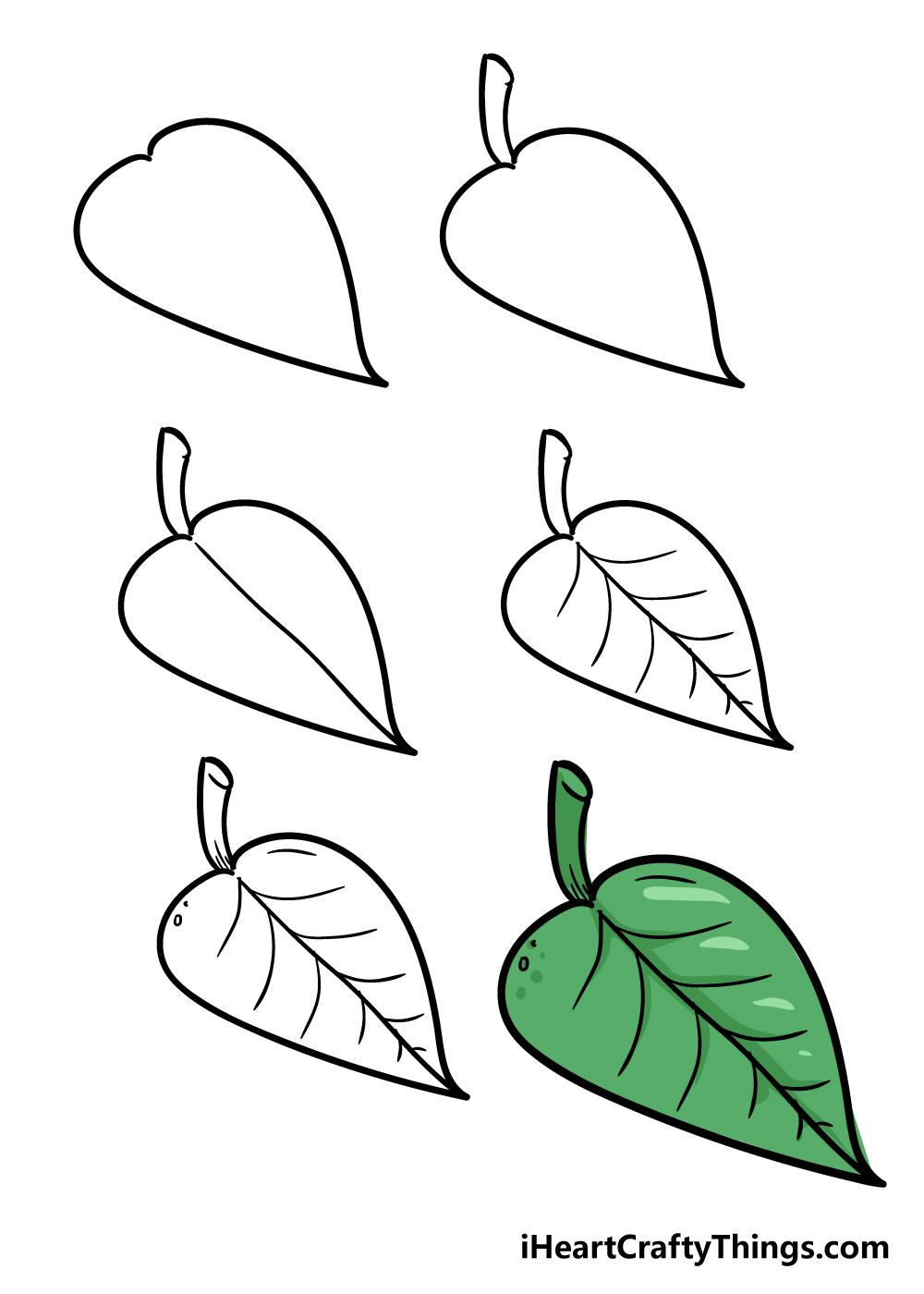 LEaf in 6 steps - Hướng dẫn cách vẽ chiếc lá cây đơn giản với 6 bước cơ bản
