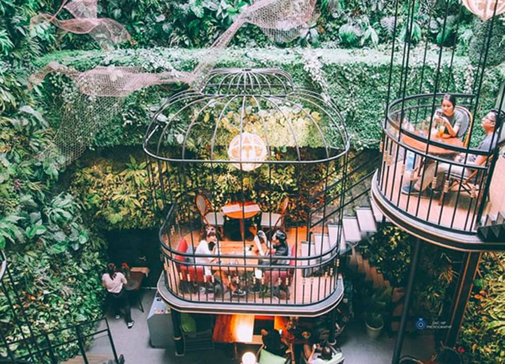 Terrace Cafe là Quán cà phê sân vườn có thiết kế cầu kì, độc đáo như một khu rừng trong thành phố