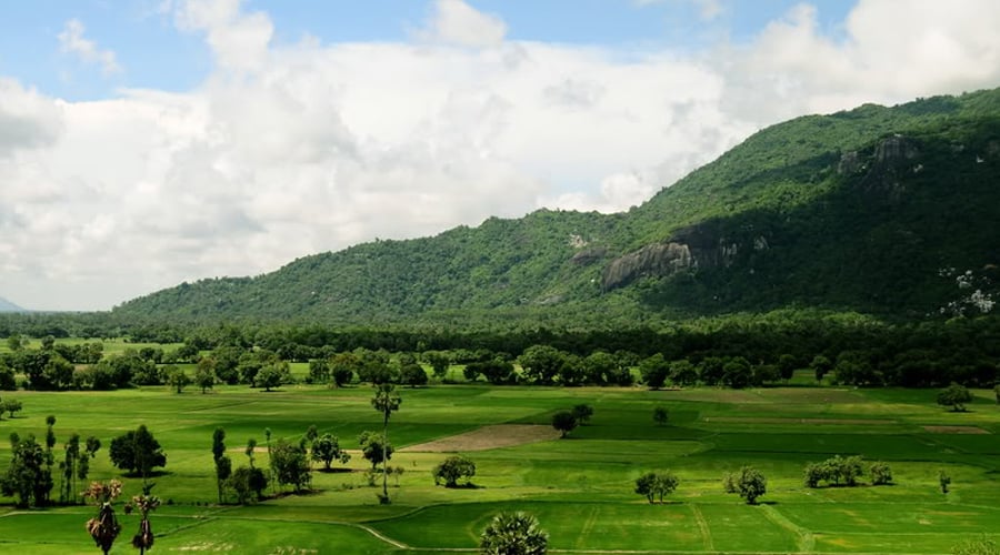 Núi Sam An Giang Châu Đốc được bao phủ bởi màu xanh của bạt ngàn cây cối (ảnh sưu tầm)