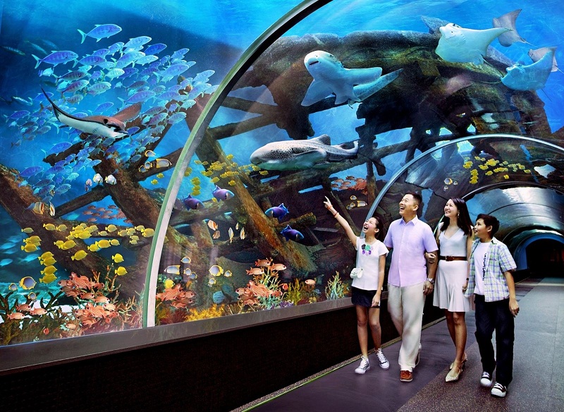 Vinpearl Aquarium là một trong những khu vui chơi trẻ em ở Hà Nội phù hợp cho bạn nhỏ và các gia đình ghé thăm