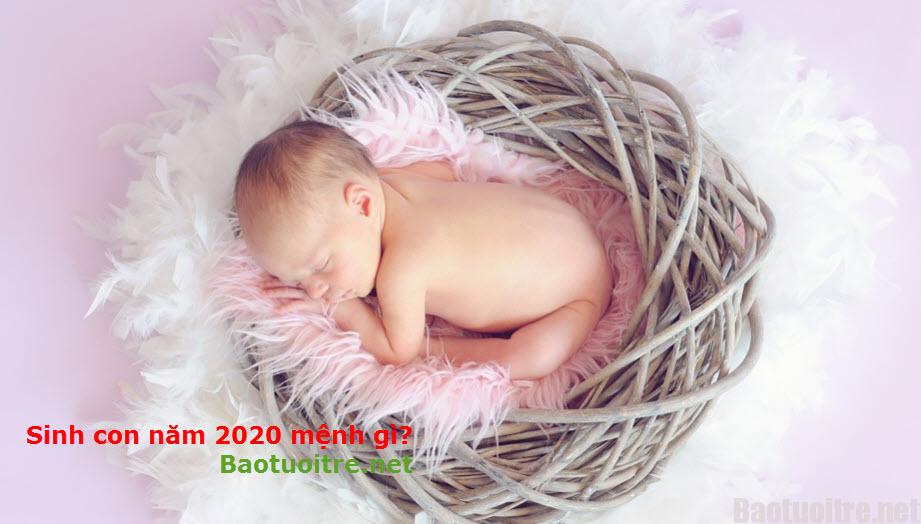 sinh con năm 2020 giờ nào tốt, sinh con năm 2020 mạng gì, sinh con năm 2020 mệnh gì,sinh con năm 2020 ngày nào tốt,sinh con năm 2020 tháng nào tốt,sinh con năm 2020 tuổi con gì, sinh con năm 2020 tuổi gì 2