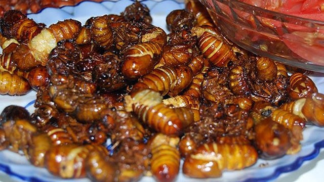 Tổng hợp tất cả món ăn về côn trùng: Ve sầu chiên - VietFlavour.com