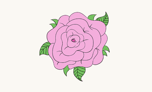 Hướng dẫn vẽ: Cách vẽ hoa hồng