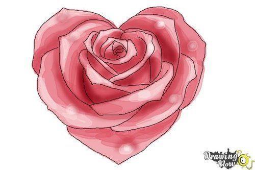 Hướng dẫn vẽ: Cách vẽ hoa hồng hình trái tim