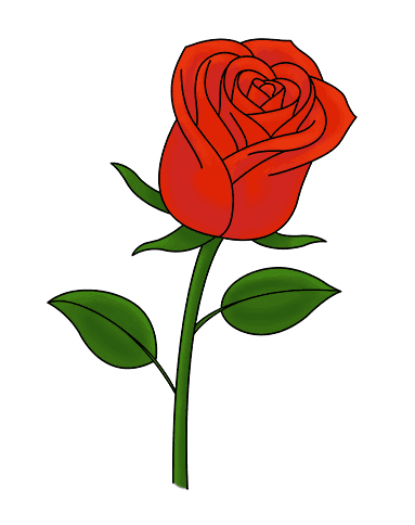 Hướng dẫn vẽ: Cách vẽ một bông hồng duy nhất