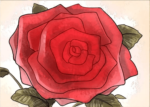 Hướng dẫn vẽ: Ba cách để vẽ một bông hồng