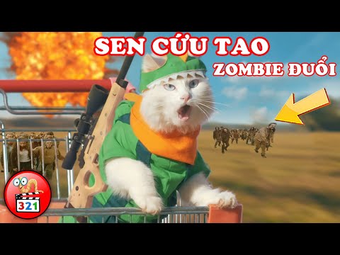 Cười té ghế với 3 Chú Mèo Vui Nhộn Nhất |  TOP 3 phim hay nhất về mèo