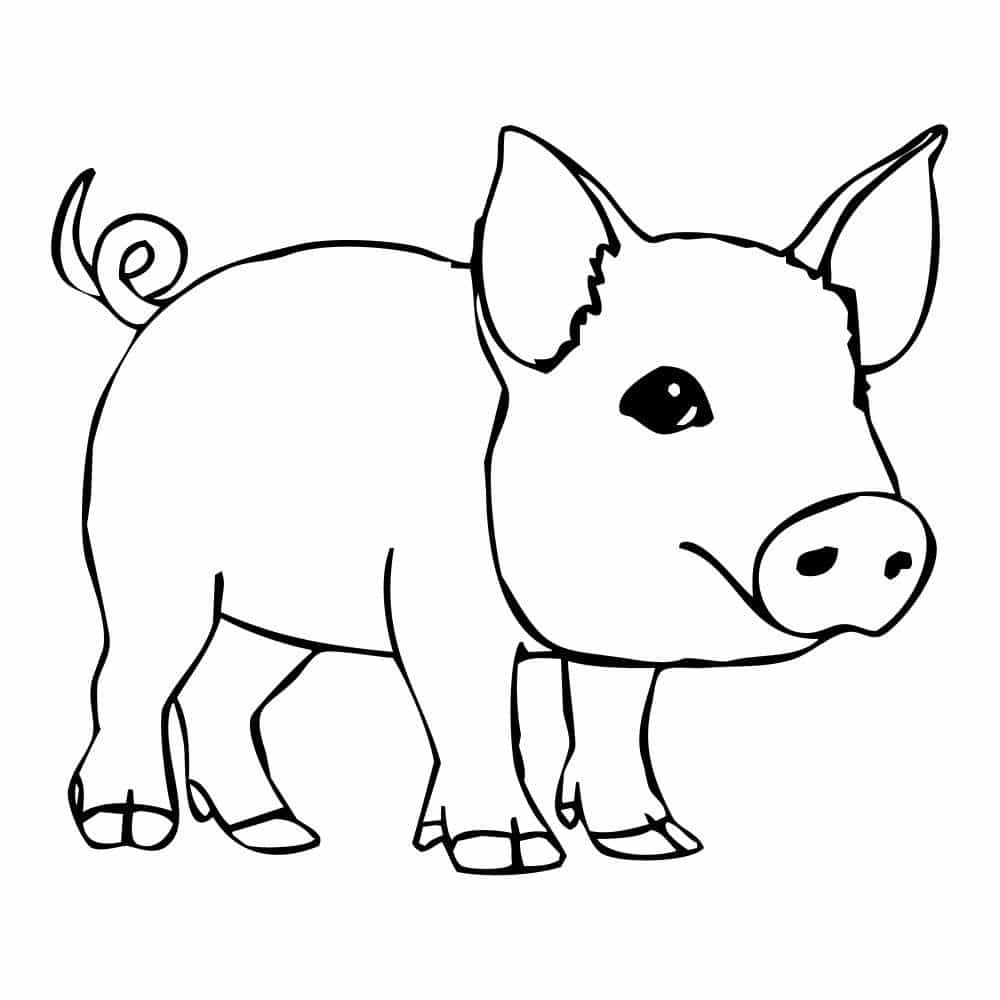 Vẽ con lợn cực ấn tượng