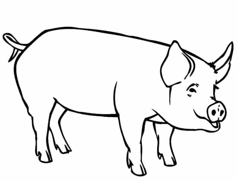 Vẽ Con Lợn cực độc đáo
