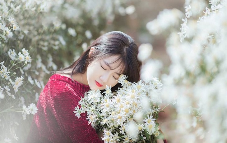Hình ảnh cô gái cầm hoa mơ mộng đẹp