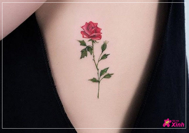 hình xăm hoa hồng mini nhỏ đẹp