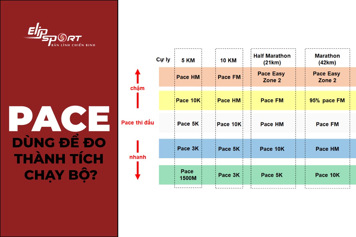 Tìm hiểu Pace là gì và Pacer trong chạy bộ là gì