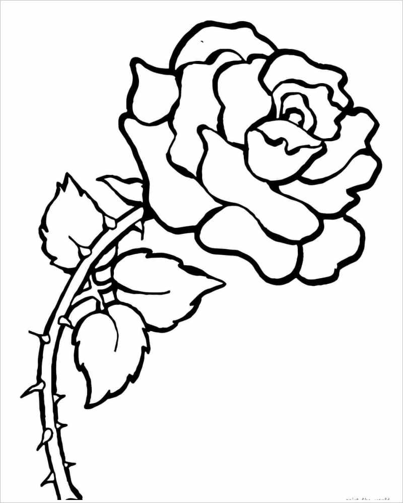 Tranh tô màu hình ảnh hoa hồng đẹp nhất