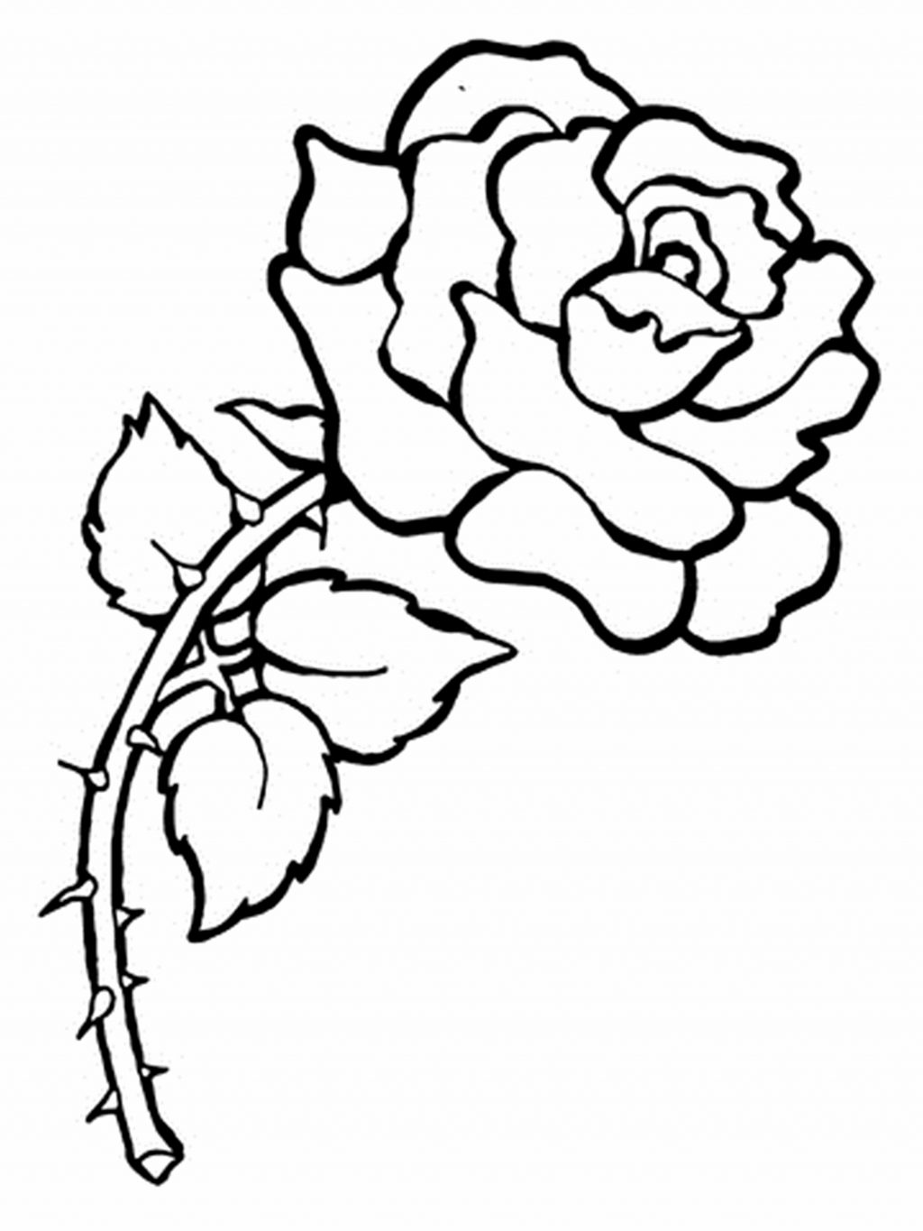 Tranh tô màu hình hoa hồng đơn giản nhất