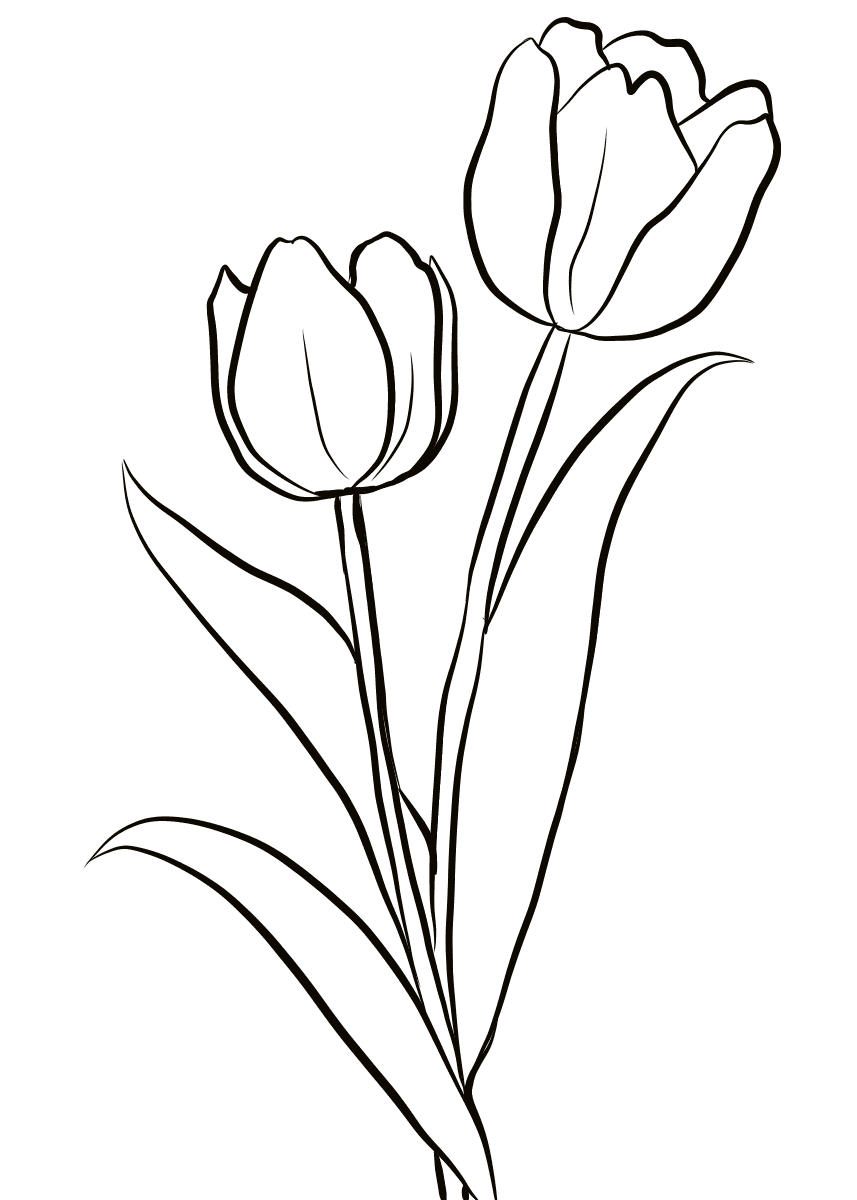 Tranh tô màu hoa tulip đẹp nhất